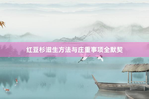 红豆杉滋生方法与庄重事项全默契