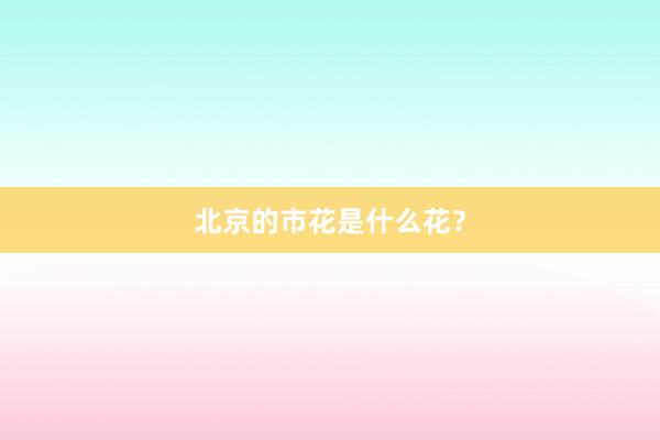 北京的市花是什么花？