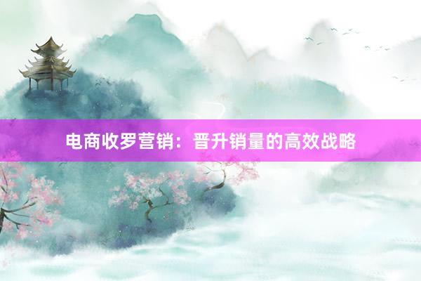 电商收罗营销：晋升销量的高效战略